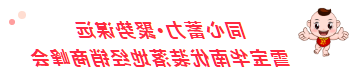 同心蓄力聚势谋远；2022雪宝华南优装落地核心经销商峰会圆满成功